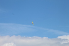 20200906133633_IMG_1710