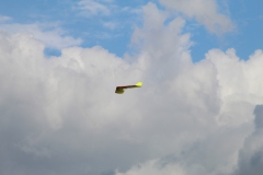 20200906133636_IMG_1711