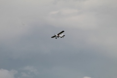 20200906142029_IMG_1724