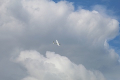 20200906144353_IMG_1777