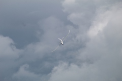 20200906144405_IMG_1779