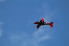 20200906145002_IMG_1796