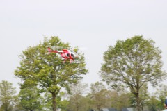 IMG_1163